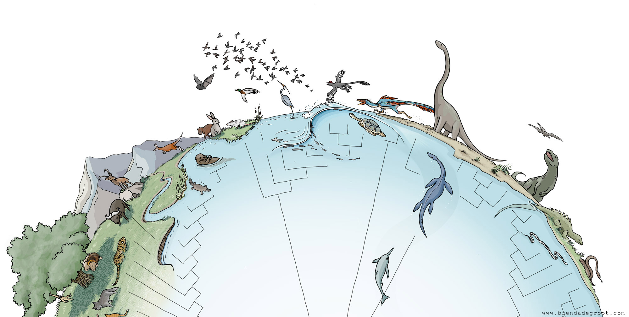 Circle of Life: Non-anthropocentric evolutionary tree - by Brenda de Groot