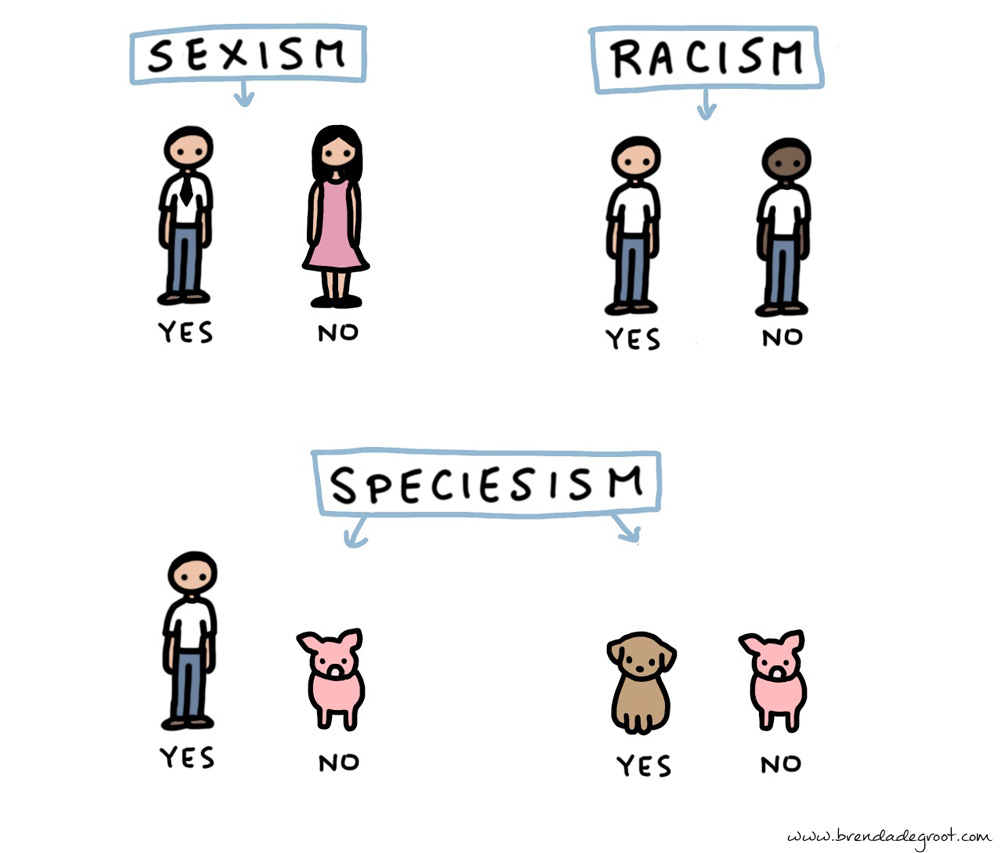 Speciesism illustration - Copyright: Brenda de Groot
Speciesisme illustratie
