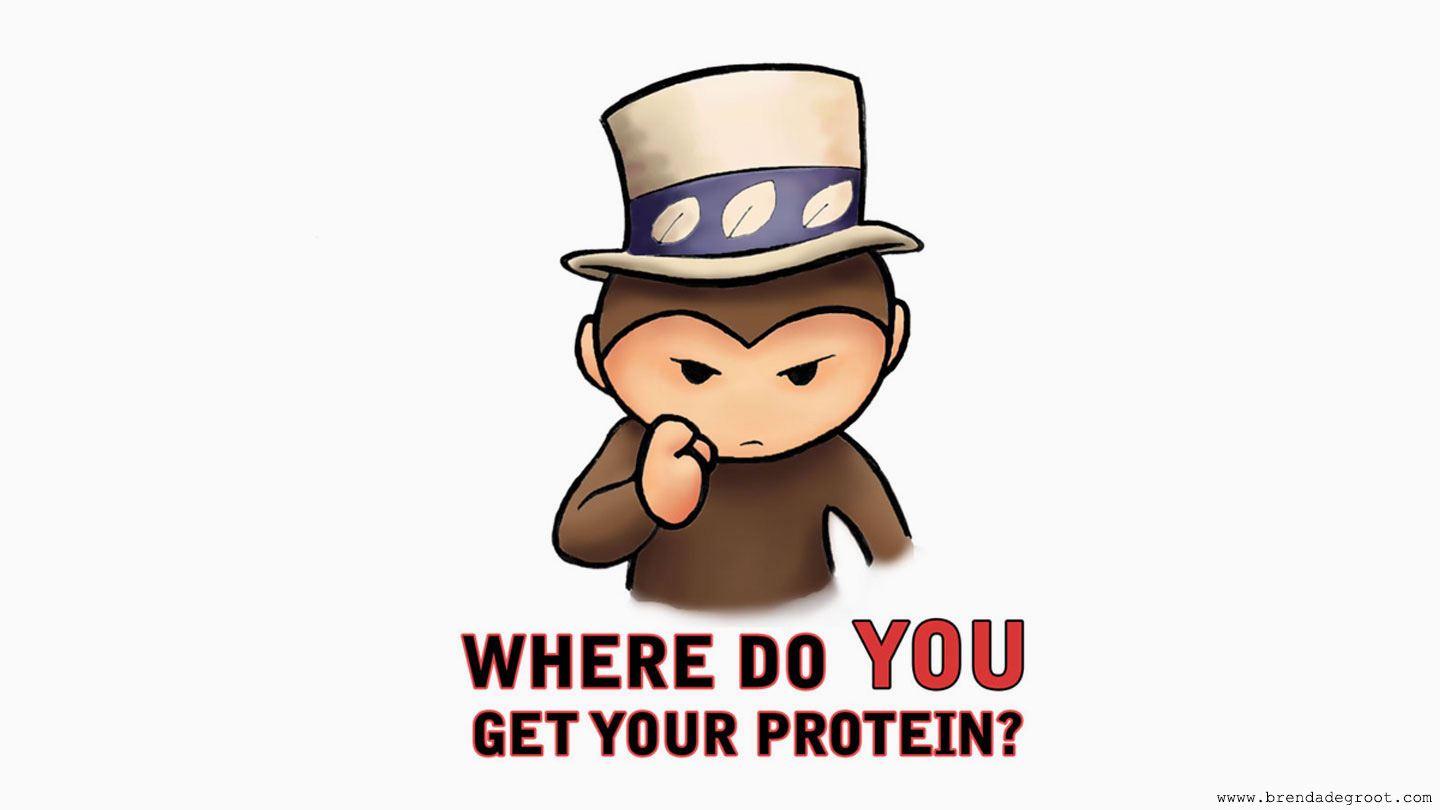 Where do you get your protein from? Uncle Sam aapje vegan - Brenda de Groot