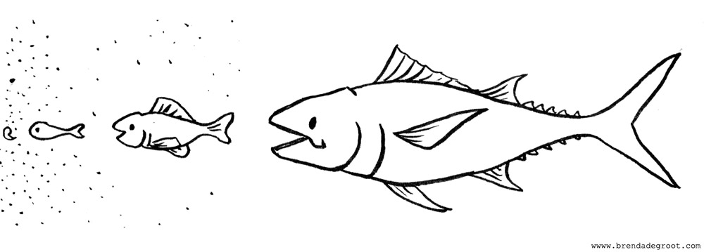 Fishes food chain illustration - Brenda de Groot