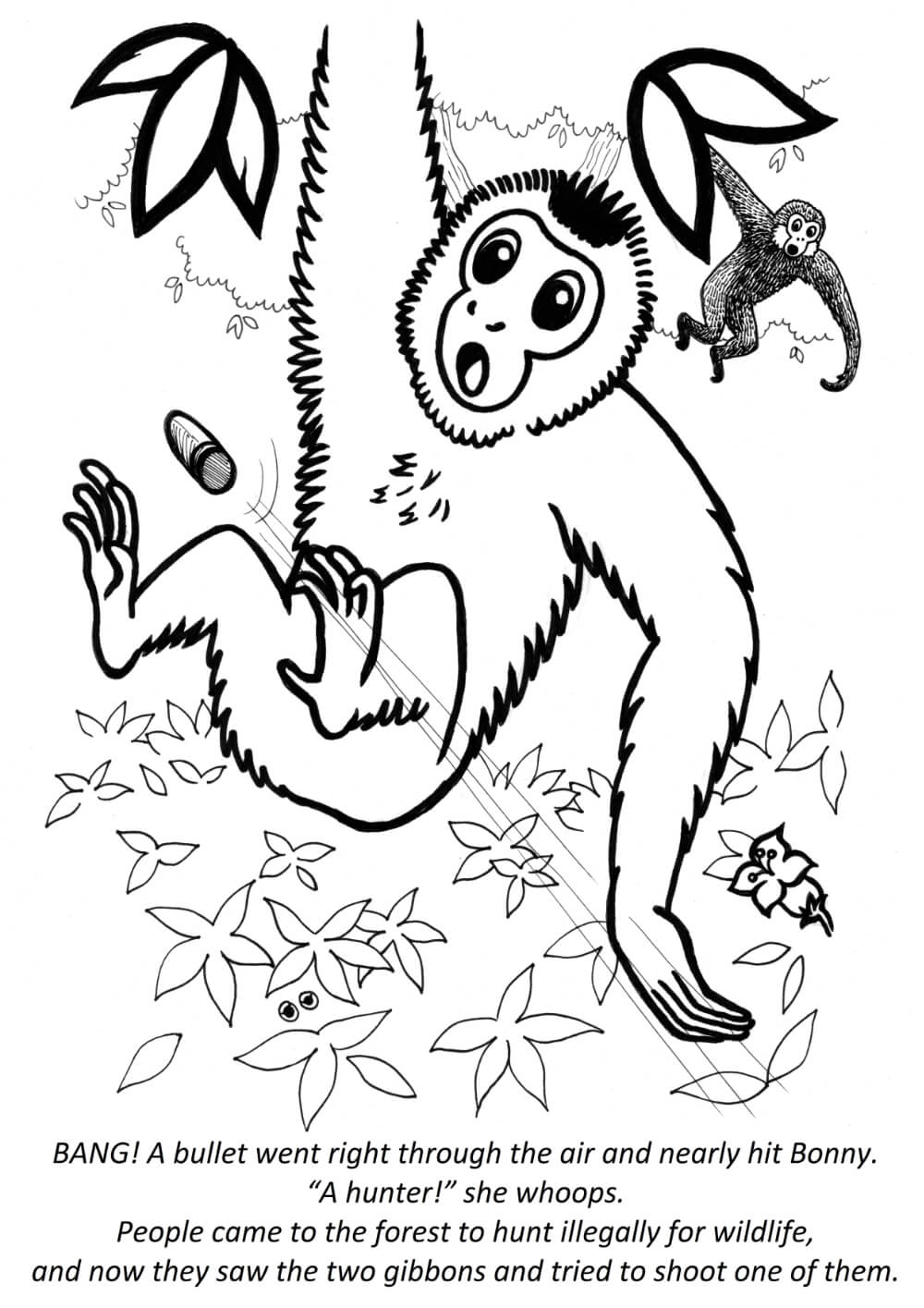 Tails of Cambodia - Primate conservation education book - Copyright Brenda de Groot
