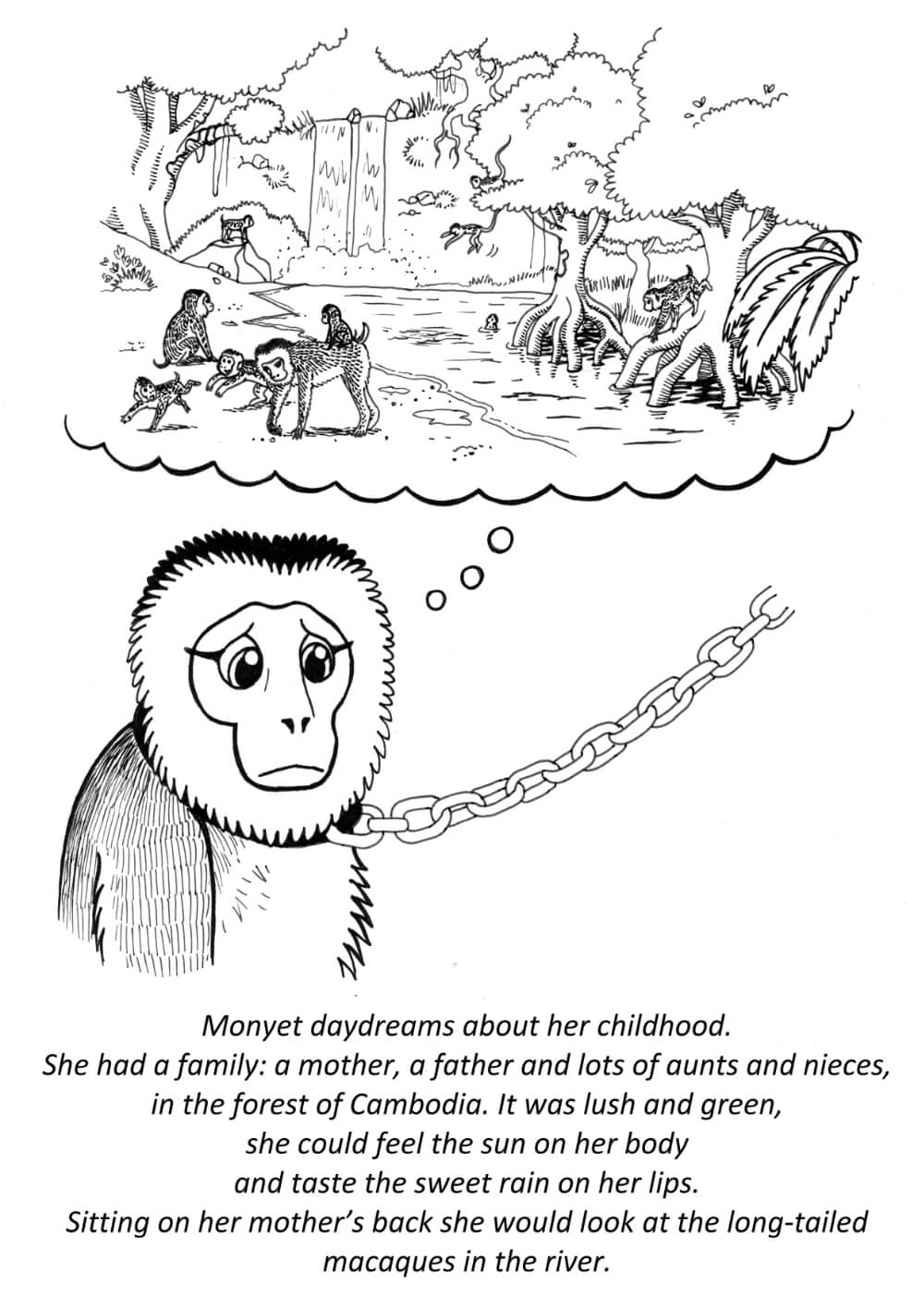 Tails of Cambodia - Primate conservation education book - Copyright Brenda de Groot