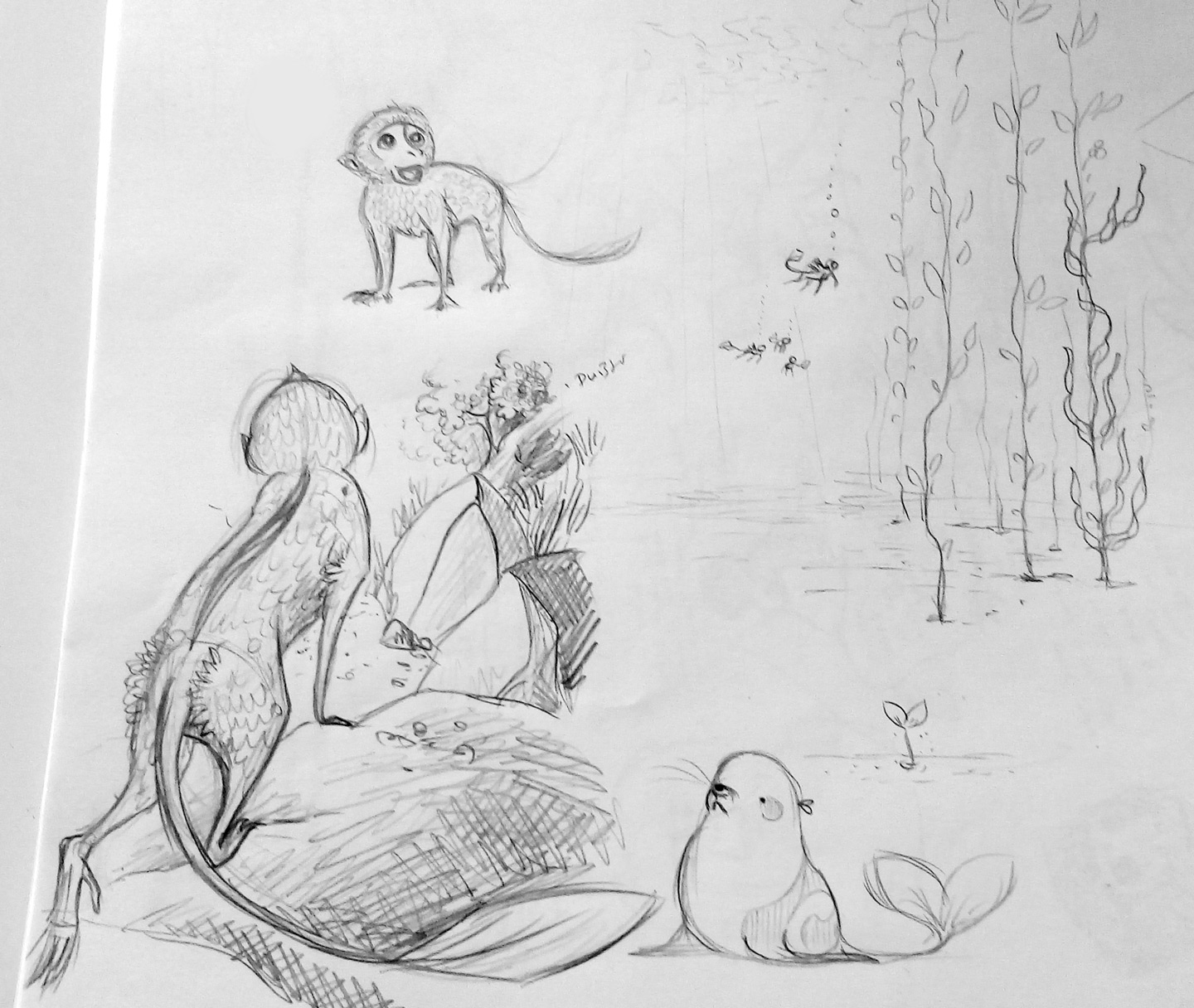 Character design water monkey sketch