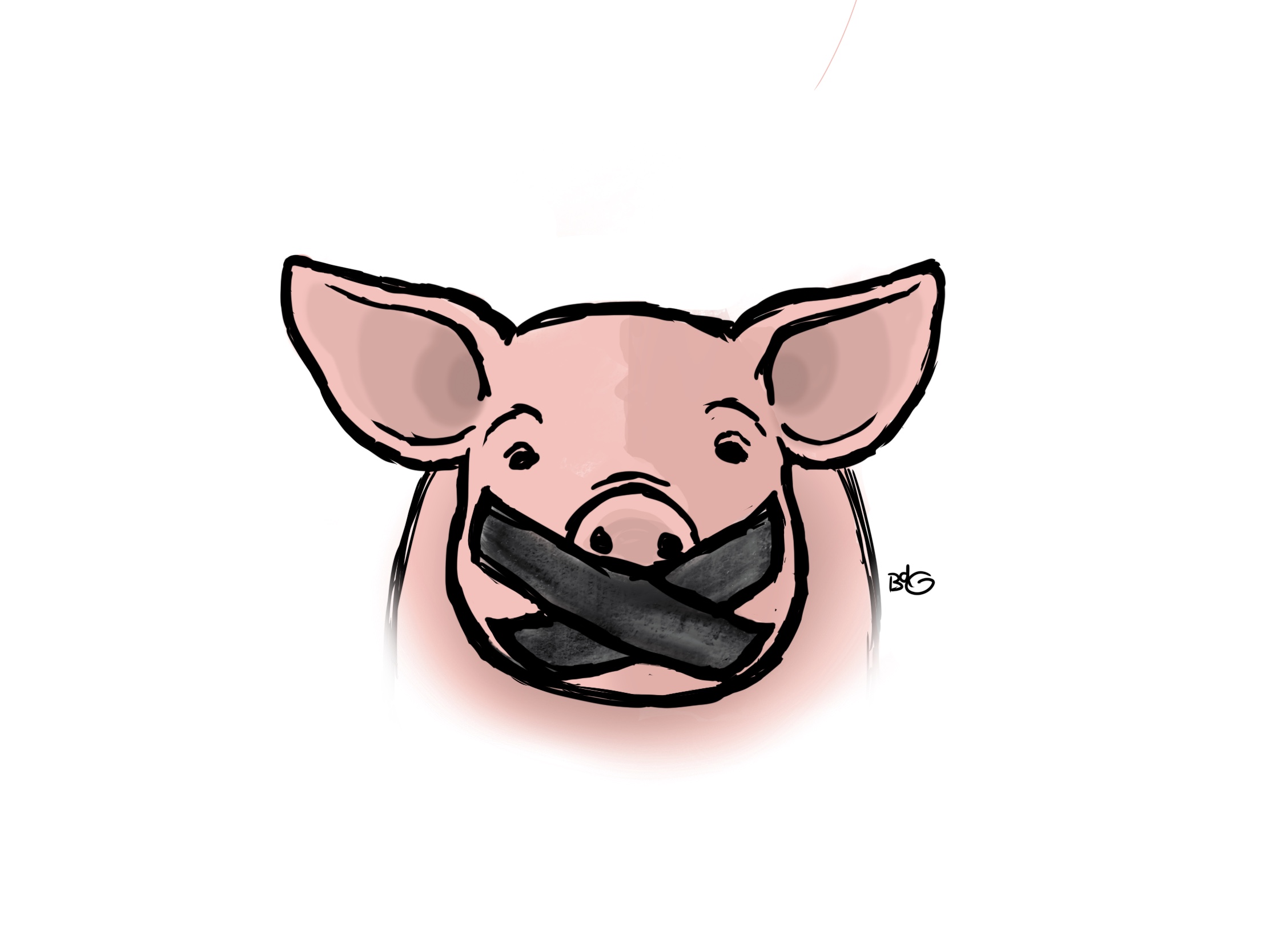Illustration pig animal rights